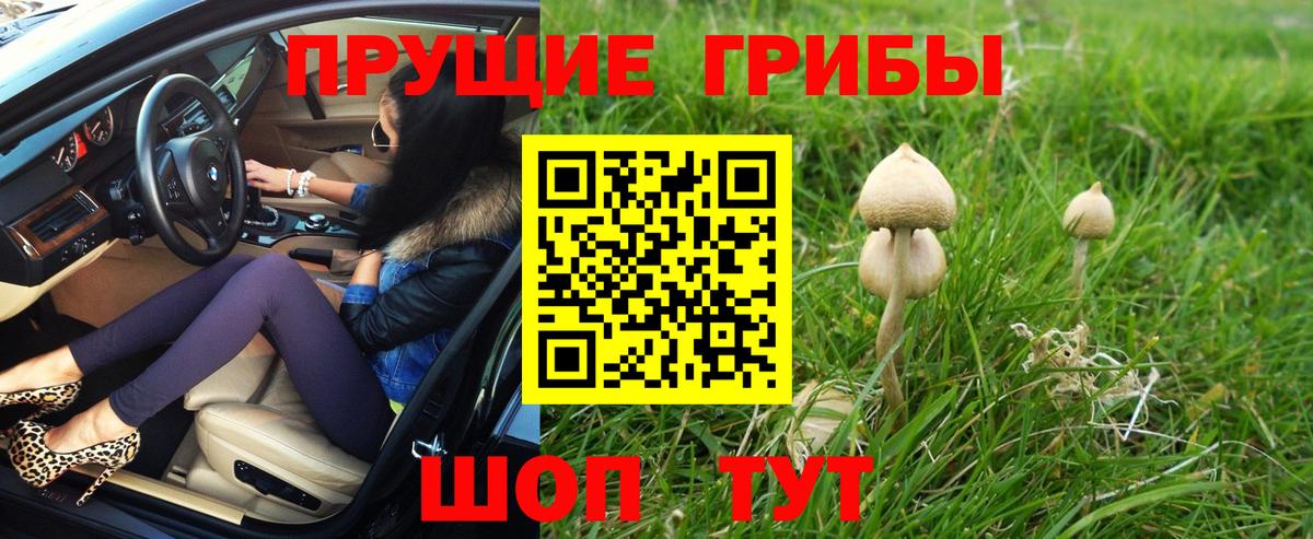 Псилоцибиновые грибы ЛСД  Вход с VPN  купить закладку  Каменск-Уральский 