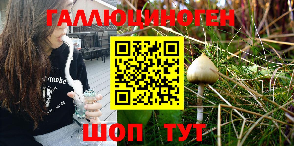 Галлюциногенные грибы Psilocybine cubensis Каменск-Уральский